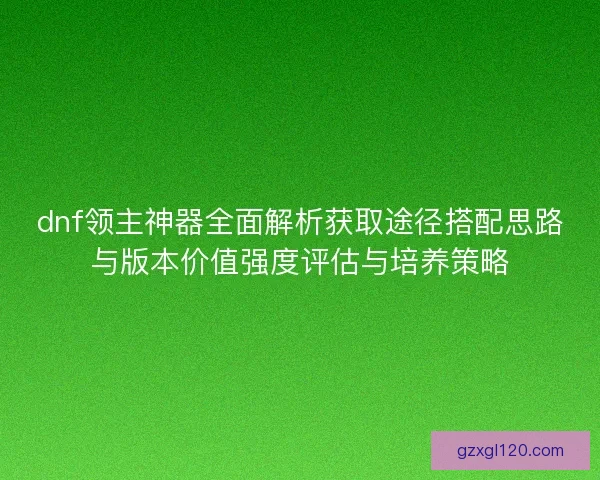 dnf领主神器全面解析获取途径搭配思路与版本价值强度评估与培养策略